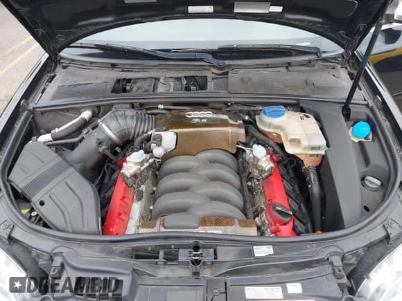 ✅ 2008 Audi RS 4 • VIN: WUAYU48H48K800151 • Lot: 41744495. Wystawiony na IAAI z przebiegiem 83 424 mil. Bezpłatny archiwum sprzedaży aukcyjnych z USA i szczegółowy raport historii pojazdu na DreamBid. Zdjęcie 10.