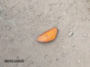 ✅ 2001 Pontiac Aztek • VIN: 3G7DB03E31S536209 • Lot: 42493601. Listed on IAAI with Not provided. Free auction sales archive from the USA and detailed vehicle history report at DreamBid. Image 11.