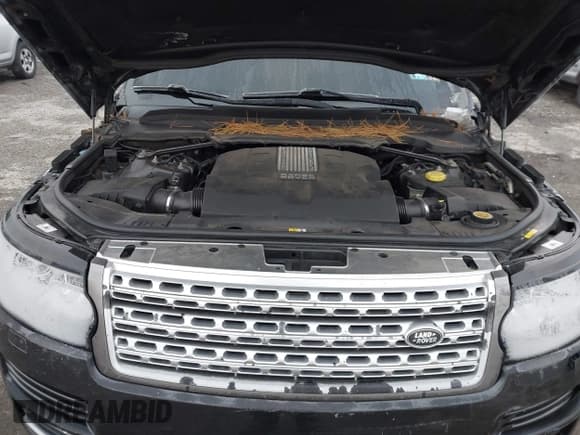 ✅ 2013 Land Rover Range Rover SC • VIN: SALGS2EF1DA124157 • Lot: 43847722. Wystawiony na IAAI z przebiegiem 86 641 mil. Bezpłatny archiwum sprzedaży aukcyjnych z USA i szczegółowy raport historii pojazdu na DreamBid. Zdjęcie 10.