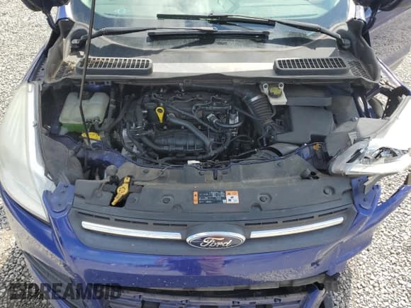 ✅ 2014 Ford Escape SE • VIN: 1FMCU0GX5EUC04972 • Lot: 56733355. Wystawiony na Copart z przebiegiem 141 675 mil. Bezpłatny archiwum sprzedaży aukcyjnych z USA i szczegółowy raport historii pojazdu na DreamBid. Zdjęcie 12.