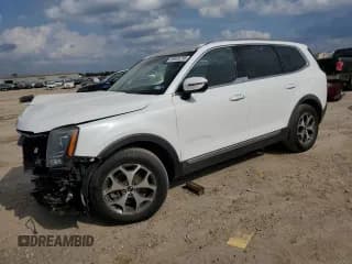 ✅ 2020 Kia Telluride EX • VIN: 5XYP34HC5LG032789 • Lot: 89446795. Wystawiony na Copart z przebiegiem 53 626 mil. Bezpłatny archiwum sprzedaży aukcyjnych z USA i szczegółowy raport historii pojazdu na DreamBid. Zdjęcie 1.