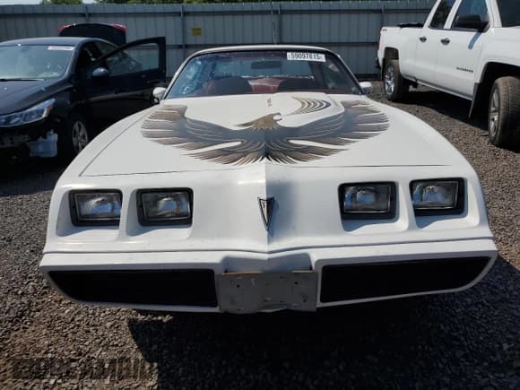 ✅ 1980 Pontiac Trans Am • VIN: 2W87TAN118715 • Lot: 59097815. Wystawiony na Copart z przebiegiem 72 275 mil. Bezpłatny archiwum sprzedaży aukcyjnych z USA i szczegółowy raport historii pojazdu na DreamBid. Zdjęcie 5.