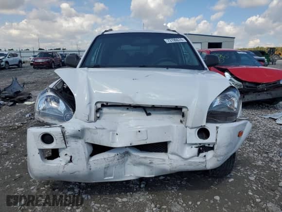 2008 Hyundai Tucson GLS z VIN KM8JM12B98U815228, wystawiony jako Copart lot #73190674 z przebiegiem 223 245 mil mil oraz Szkoda całkowita • Salvage title. Historia ofert i sprzedaży dostępna na DreamBid. Obrazek 5.