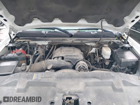 ✅ 2009 Chevrolet Silverado 2500HD Work Truck • VIN: 1GCHC49K59E149669 • Лот: 42042653. Опубликован ранее на IAAI с пробегом 160 732 миль. Бесплатный доступ к архиву аукционных продаж из США и подробный отчёт об истории автомобиля на DreamBid. Изображение 10.