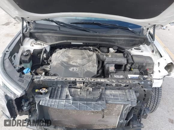 ✅ 2020 Hyundai Palisade SEL • VIN: KM8R4DHE4LU134554 • Lot: 43585546. Listed on IAAI with 95,251 mi. Free auction sales archive from the USA and detailed vehicle history report at DreamBid. Image 10.