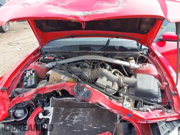 2014 Ford Mustang V6 с VIN 1ZVBP8EMXE5245569, выставлен на аукционе IAAI как лот 43398061 с пробегом Не указан миль и . История ставок и продаж доступна на DreamBid. Изображение 10.