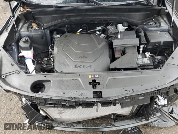 ✅ 2024 Kia Telluride SX • VIN: 5XYP54GC5RG554584 • Lot: 80985525. Listed on Copart with 3,785 mi. Free auction sales archive from the USA and detailed vehicle history report at DreamBid. Image 11.