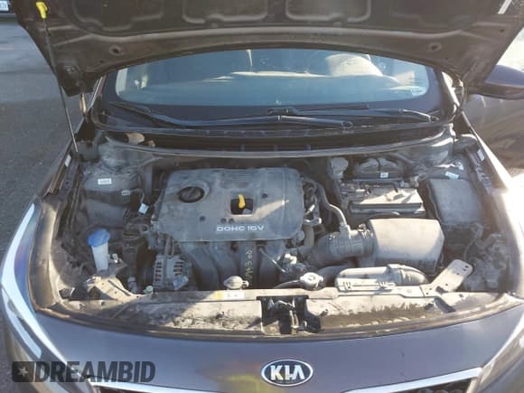 ✅ 2017 Kia Forte LX • VIN: 3KPFK4A75HE129331 • Lot: 43531601. Listed on IAAI with 176,045 mi. Free auction sales archive from the USA and detailed vehicle history report at DreamBid. Image 10.