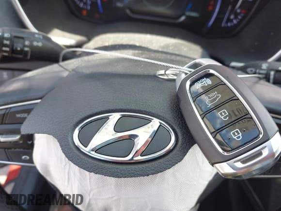 ✅ 2020 Hyundai Santa Fe Limited • VIN: 5NMS5CAAXLH250630 • Лот: 43087010. Опубликован ранее на IAAI с пробегом 101 043 миль. Бесплатный доступ к архиву аукционных продаж из США и подробный отчёт об истории автомобиля на DreamBid. Изображение 11.