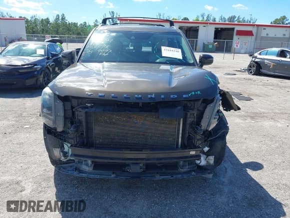 ✅ 2020 Kia Telluride EX • VIN: 5XYP34HCXLG030097 • Lot: 43444210. Wystawiony na IAAI z przebiegiem 104 638 mil. Bezpłatny archiwum sprzedaży aukcyjnych z USA i szczegółowy raport historii pojazdu na DreamBid. Zdjęcie 13.