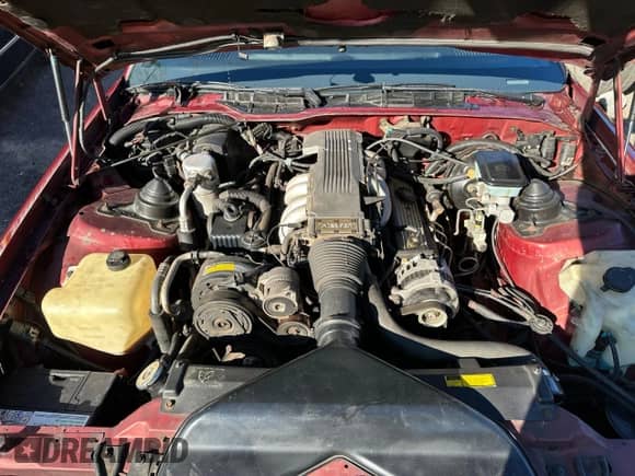 1988 Chevrolet Camaro с VIN 1G1FP21F1JL138014, выставлен на аукционе Copart как лот 91621695 с пробегом 22 033 миль миль и Чистый • Clean title. История ставок и продаж доступна на DreamBid. Изображение 7.