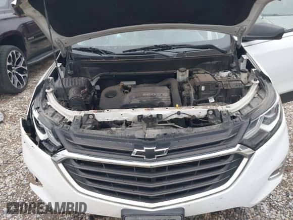 2018 Chevrolet Equinox LS with VIN 3GNAXHEV3JS643558, listed as a IAAI auction lot 42882919 with 173,228 mi miles and . Bid and sale history available at DreamBid. Image 10.