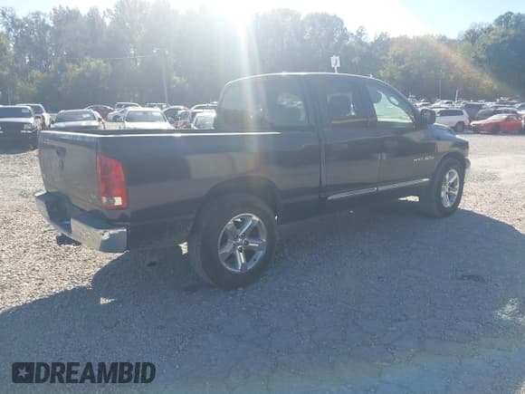 ✅ 2005 Dodge 1500 SLT • VIN: 1D7HA18D45J504345 • Lot: 43232618. Listed on IAAI with Not provided. Free auction sales archive from the USA and detailed vehicle history report at DreamBid. Image 4.