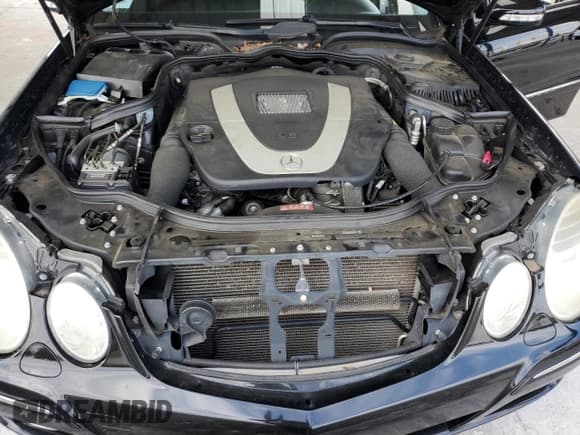 ✅ 2008 Mercedes-Benz E 350 Luxury • VIN: WDBUF56X48B210567 • Lot: 85599345. Wystawiony na Copart z przebiegiem Nie podano. Bezpłatny archiwum sprzedaży aukcyjnych z USA i szczegółowy raport historii pojazdu na DreamBid. Zdjęcie 11.