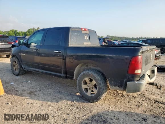 ✅ 2010 Dodge 1500 SLT • VIN: 1D7RB1CT2AS181823 • Lot: 59738975. Wystawiony na Copart z przebiegiem 215 855 mil. Bezpłatny archiwum sprzedaży aukcyjnych z USA i szczegółowy raport historii pojazdu na DreamBid. Zdjęcie 2.