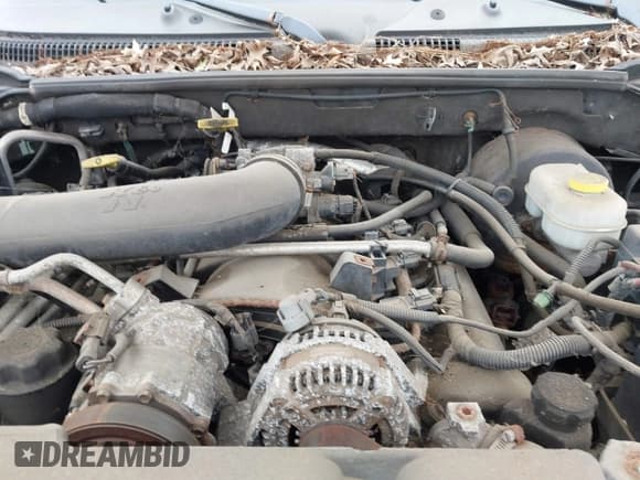 ✅ 2002 Dodge Durango SLT • VIN: 1B4HS48NX2F123693 • Лот: 43538113. Опубликован ранее на IAAI с пробегом 129 691 миль. Бесплатный доступ к архиву аукционных продаж из США и подробный отчёт об истории автомобиля на DreamBid. Изображение 10.