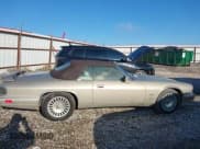 ✅ 1995 Jaguar XJS • VIN: SAJNX2349SC199998 • Лот: 43816383. Опубликован ранее на IAAI с пробегом 73 272 миль. Бесплатный доступ к архиву аукционных продаж из США и подробный отчёт об истории автомобиля на DreamBid. Изображение 13.