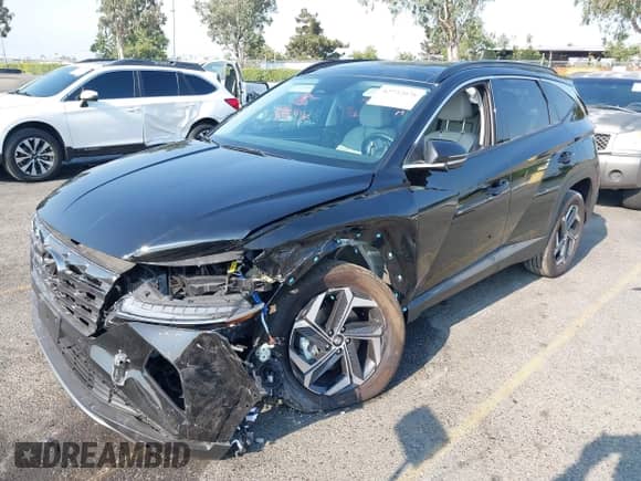 2024 Hyundai Tucson Limited with VIN KM8JECD17RU228735, listed as a IAAI auction lot 42732078 with 7,881 mi miles and . Bid and sale history available at DreamBid. Image 19.