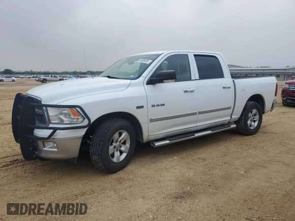 2009 Dodge 1500 Sport с VIN 1D3HB13T59J511209, выставлен на аукционе Copart как лот 53886505 с пробегом 170 387 миль миль и Списание • Salvage title. История ставок и продаж доступна на DreamBid. Изображение 1.