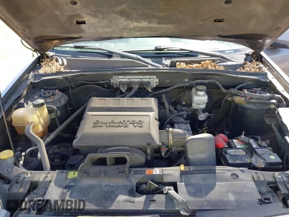 ✅ 2010 Mercury Mariner Premier • VIN: 4M2CN9HG3AKJ12523 • Лот: 42114096. Опубликован ранее на IAAI с пробегом 265 108 миль. Бесплатный доступ к архиву аукционных продаж из США и подробный отчёт об истории автомобиля на DreamBid. Изображение 10.