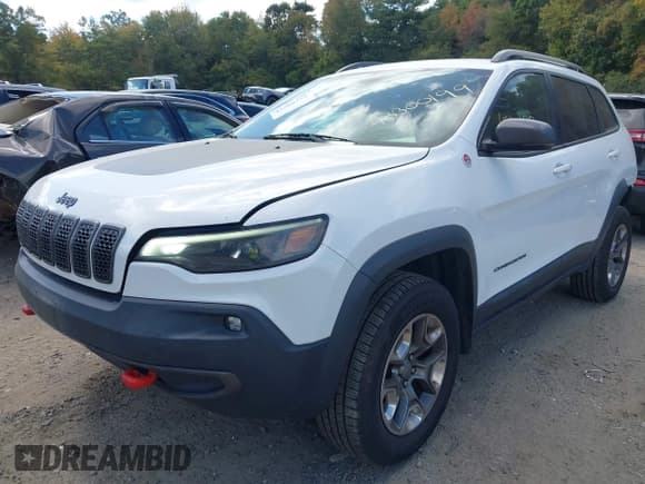 ✅ 2019 Jeep Cherokee Trailhawk • VIN: 1C4PJMBX5KD216306 • Lot: 43300199. Listed on IAAI with 103,599 mi. Free auction sales archive from the USA and detailed vehicle history report at DreamBid. Image 18.