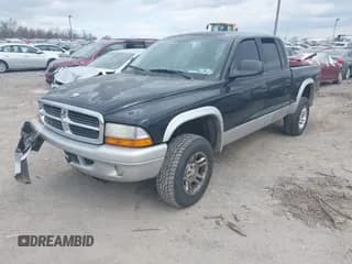 ✅ 2004 Dodge Dakota SLT • VIN: 1D7HG48N14S503851 • Lot: 41883437. Wystawiony na IAAI z przebiegiem 225 505 mil. Bezpłatny archiwum sprzedaży aukcyjnych z USA i szczegółowy raport historii pojazdu na DreamBid. Zdjęcie 2.