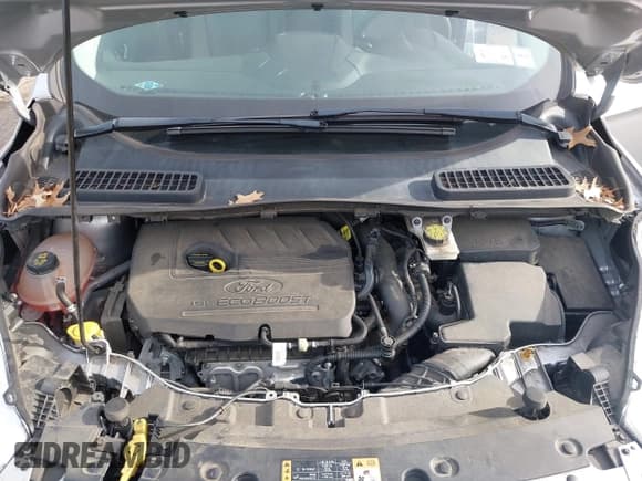 ✅ 2018 Ford Escape SE • VIN: 1FMCU9GD8JUB93096 • Lot: 43889141. Wystawiony na IAAI z przebiegiem 52 535 mil. Bezpłatny archiwum sprzedaży aukcyjnych z USA i szczegółowy raport historii pojazdu na DreamBid. Zdjęcie 10.