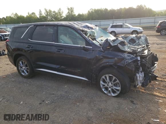 ✅ 2020 Hyundai Palisade SE • VIN: KM8R1DHE4LU052624 • Lot: 55254005. Listed on Copart with 119,424 mi. Free auction sales archive from the USA and detailed vehicle history report at DreamBid. Image 4.