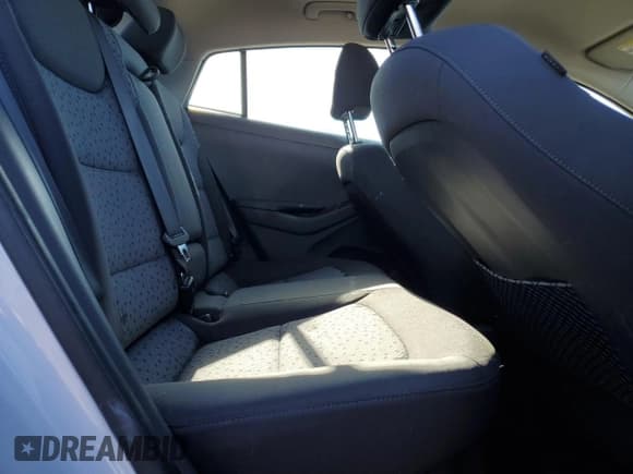 ✅ 2019 Hyundai Ioniq • VIN: KMHC65LD7KU136186 • Lot: 41999055. Wystawiony na Copart z przebiegiem 83 656 mil. Bezpłatny archiwum sprzedaży aukcyjnych z USA i szczegółowy raport historii pojazdu na DreamBid. Zdjęcie 10.