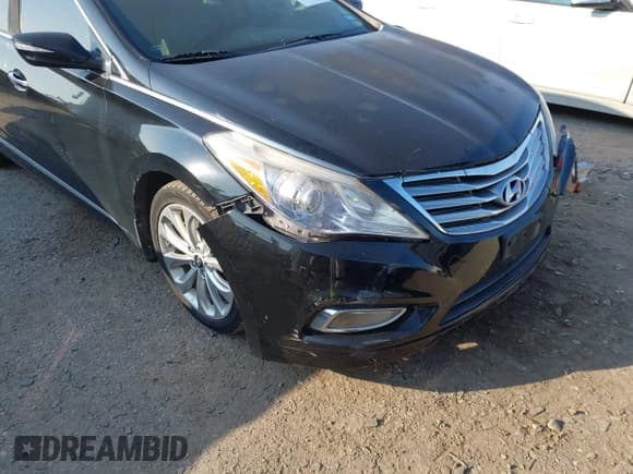 ✅ 2014 Hyundai Azera Limited • VIN: KMHFH4JG7EA396981 • Lot: 43135345. Listed on IAAI with 94,613 mi. Free auction sales archive from the USA and detailed vehicle history report at DreamBid. Image 12.