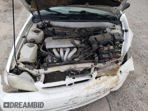 ✅ 1998 Toyota Corolla VE • VIN: 1NXBR12E9WZ030088 • Lot: 45382525. Listed on Copart with Not provided. Free auction sales archive from the USA and detailed vehicle history report at DreamBid. Image 13.