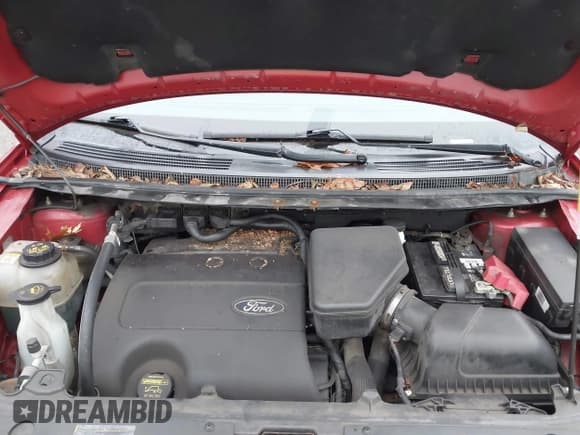 ✅ 2011 Ford Edge SEL • VIN: 2FMDK4JCXBBB15648 • Lot: 43773114. Wystawiony na IAAI z przebiegiem 104 998 mil. Bezpłatny archiwum sprzedaży aukcyjnych z USA i szczegółowy raport historii pojazdu na DreamBid. Zdjęcie 10.