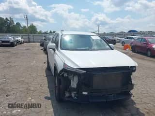 2019 Hyundai Santa Fe SE z VIN 5NMS2CAD6KH128817, wystawiony jako IAAI lot #43140291 z przebiegiem 111 336 mil mil oraz . Historia ofert i sprzedaży dostępna na DreamBid. Obrazek 1.