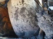 ✅ 2010 Audi A4 Premium Plus • VIN: WAUEFAFL3AN001933 • Lot: 58337385. Listed on Copart with Not provided. Free auction sales archive from the USA and detailed vehicle history report at DreamBid. Image 10.