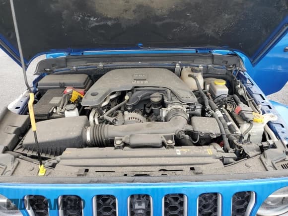 ✅ 2021 Jeep Wrangler Unlimited Sahara Altitude • VIN: 1C4HJXEG7MW728612 • Lot: 45001535. Listed on Copart with 24,027 mi. Free auction sales archive from the USA and detailed vehicle history report at DreamBid. Image 11.