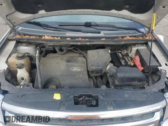 ✅ 2014 Ford Edge SE • VIN: 2FMDK4GC4EBB30321 • Lot: 81233705. Wystawiony na Copart z przebiegiem 181 016 mil. Bezpłatny archiwum sprzedaży aukcyjnych z USA i szczegółowy raport historii pojazdu na DreamBid. Zdjęcie 12.