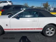 ✅ 2008 Ford Mustang Deluxe • VIN: 1ZVHT84N985117506 • Lot: 43553154. Listed on IAAI with 219,501 mi. Free auction sales archive from the USA and detailed vehicle history report at DreamBid. Image 15.