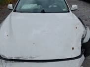 ✅ 2021 Infiniti Q50 Pure • VIN: JN1EV7AR4MM750032 • Лот: 43372218. Опубликован ранее на IAAI с пробегом 35 264 миль. Бесплатный доступ к архиву аукционных продаж из США и подробный отчёт об истории автомобиля на DreamBid. Изображение 10.