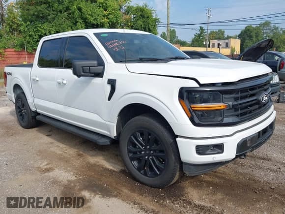 ✅ 2024 Ford F-150 XLT • VIN: 1FTEW3LP2RFB34761 • Lot: 42886840. Wystawiony na IAAI z przebiegiem Nie podano. Bezpłatny archiwum sprzedaży aukcyjnych z USA i szczegółowy raport historii pojazdu na DreamBid. Zdjęcie 1.