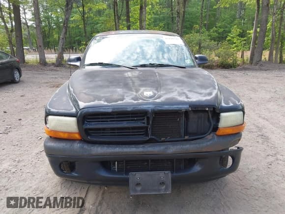 ✅ 1997 Dodge Dakota • VIN: 1B7FL26X6VS243843 • Lot: 42116742. Wystawiony na IAAI z przebiegiem 266 588 mil. Bezpłatny archiwum sprzedaży aukcyjnych z USA i szczegółowy raport historii pojazdu na DreamBid. Zdjęcie 12.