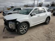 ✅ 2020 Hyundai Palisade SEL • VIN: KM8R44HE3LU090613 • Лот: 86982204. Опубликован ранее на Copart с пробегом 110 994 миль. Бесплатный доступ к архиву аукционных продаж из США и подробный отчёт об истории автомобиля на DreamBid. Изображение 1.