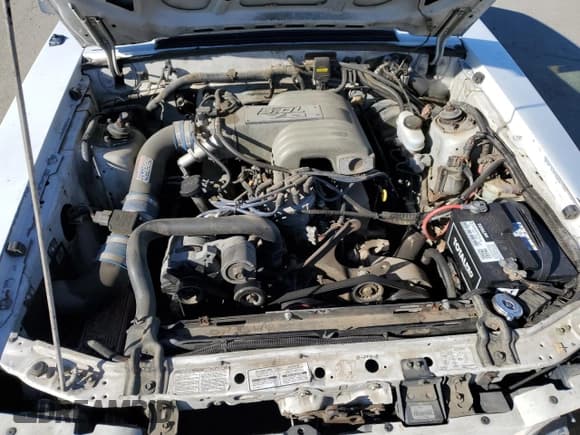 ✅ 1992 Ford Mustang LX • VIN: 1FACP41E9NF115202 • Lot: 87953945. Listed on Copart with 5,543 mi. Free auction sales archive from the USA and detailed vehicle history report at DreamBid. Image 11.