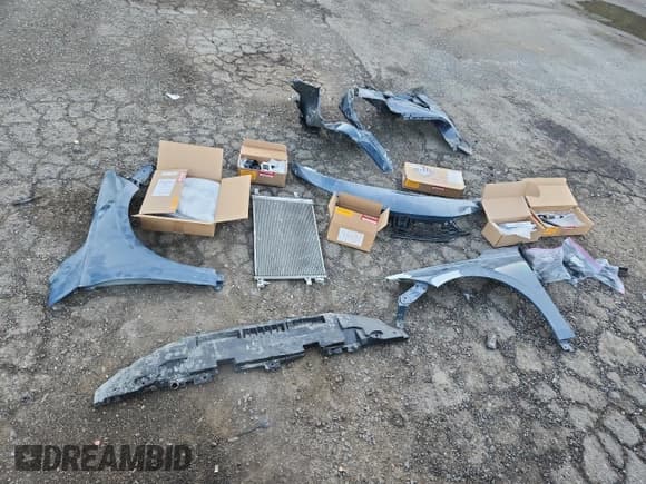 ✅ 2025 Honda Civic Sport • VIN: 2HGFE4F81SH304311 • Lot: 81439885. Listed on Copart with 11,007 mi. Free auction sales archive from the USA and detailed vehicle history report at DreamBid. Image 12.