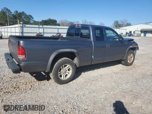 2003 Dodge Dakota SLT with VIN 1D7HL42X13S367631, listed as a Copart auction lot 47706795 with 202,616 mi miles and Salvage title. Bid and sale history available at DreamBid. Image 3.