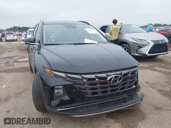 ✅ 2024 Hyundai Tucson Limited • VIN: 5NMJE3DE9RH379333 • Lot: 43113421. Listed on IAAI with 22,781 mi. Free auction sales archive from the USA and detailed vehicle history report at DreamBid. Image 1.