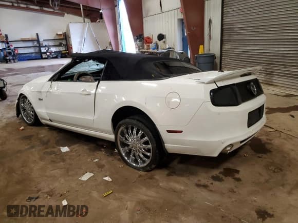 ✅ 2013 Ford Mustang GT • VIN: 1ZVBP8FF2D5202231 • Lot: 71309915. Listed on Copart with Not provided. Free auction sales archive from the USA and detailed vehicle history report at DreamBid. Image 2.