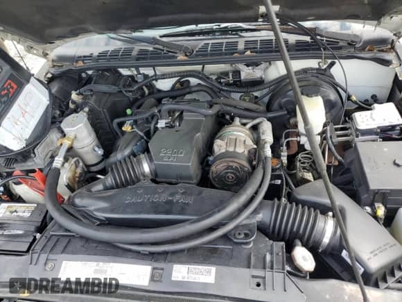 2002 Chevrolet S-10 LS with VIN 1GCCS145928222219, listed as a Copart auction lot 57987925 with 179,980 mi miles and Clean title. Bid and sale history available at DreamBid. Image 11.