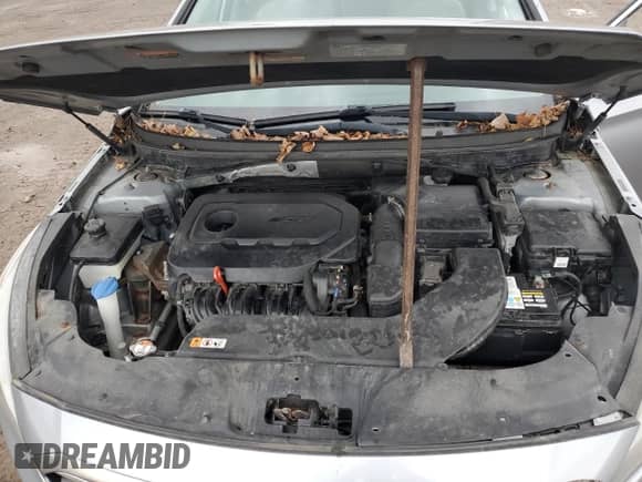 ✅ 2016 Hyundai Sonata 2.4L • VIN: 5NPE24AF4GH418892 • Lot: 82643465. Listed on Copart with 90,265 mi miles. Access the free auction sales archive from the USA and view a detailed vehicle history report at DreamBid. Image 11.