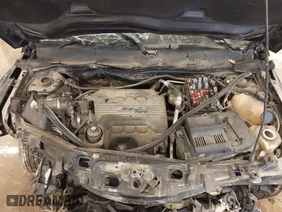 ✅ 2009 Chevrolet Equinox 1LT • VIN: 2CNDL43F996222570 • Лот: 41721947. Опубликован ранее на IAAI с пробегом Не указан. Бесплатный доступ к архиву аукционных продаж из США и подробный отчёт об истории автомобиля на DreamBid. Изображение 10.