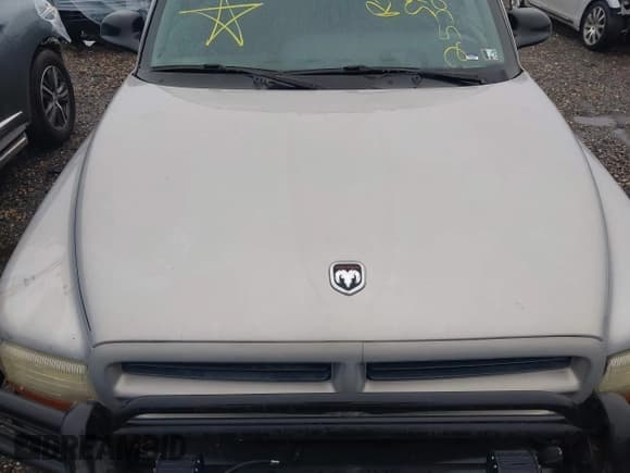 ✅ 1999 Dodge Durango • VIN: 1B4HS28Y5XF685510 • Lot: 43309271. Wystawiony na IAAI z przebiegiem Nie podano. Bezpłatny archiwum sprzedaży aukcyjnych z USA i szczegółowy raport historii pojazdu na DreamBid. Zdjęcie 10.
